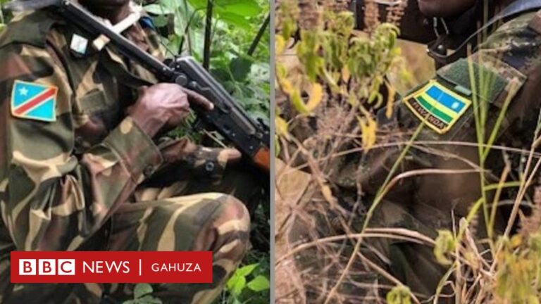 RDF VS FARDC