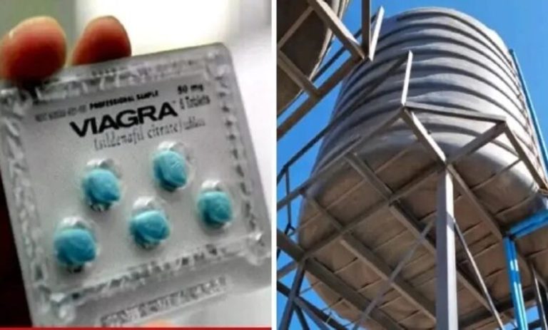 viagra